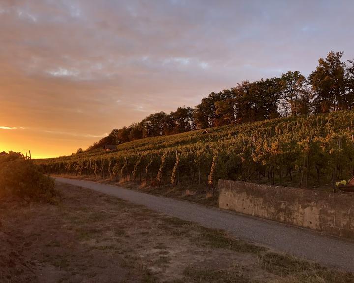 Weinstube in der Schmiede